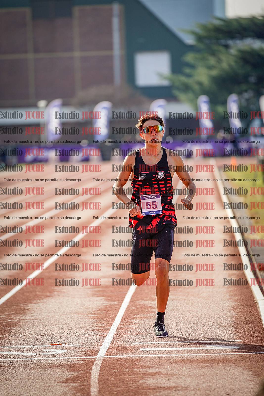 Fotos de los 800 m de varones