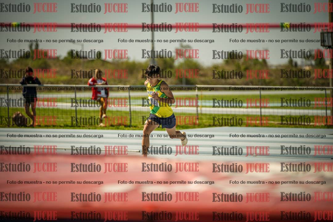Fotos del salto en alto de varones LIBRE - FINAL