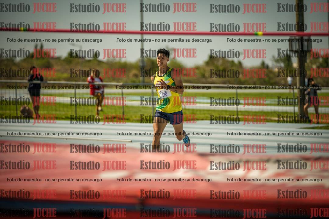 Fotos del salto en alto de varones LIBRE - FINAL
