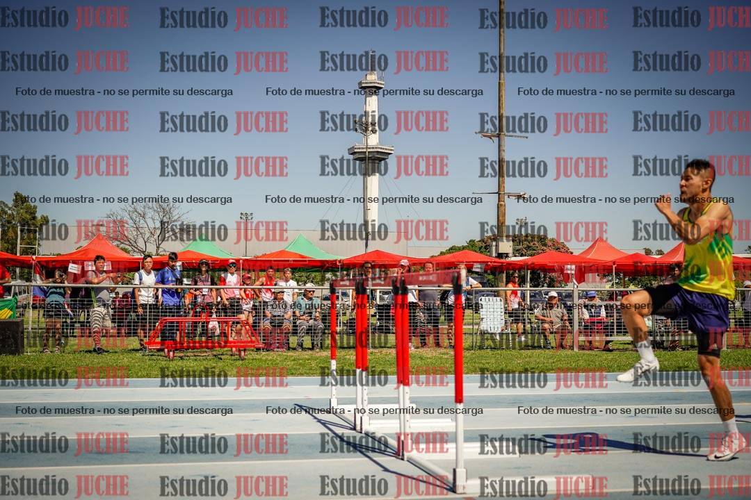 Fotos de los 110mts con vallas de varones LIBRE - FINAL