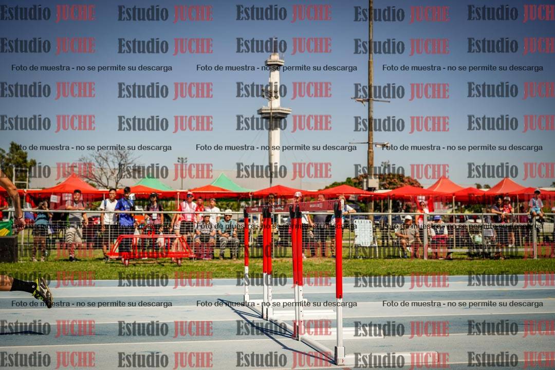 Fotos de los 110mts con vallas de varones LIBRE - FINAL