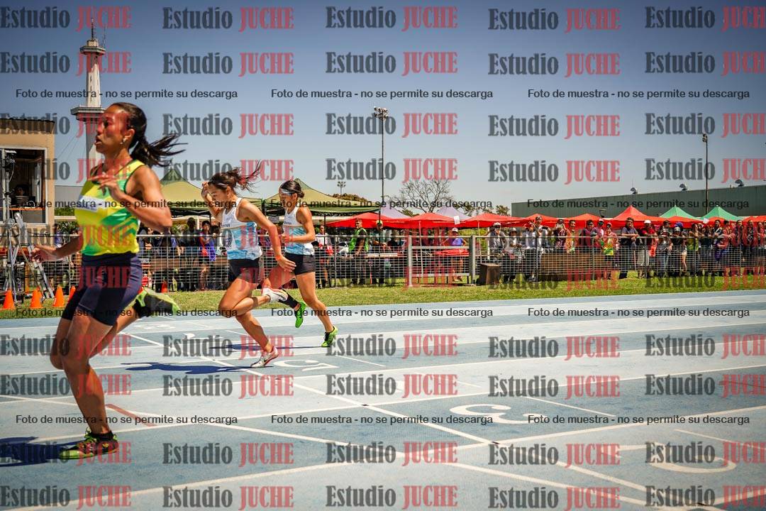 Fotos de los 100mts llanos de mujeres LIBRE - FINAL