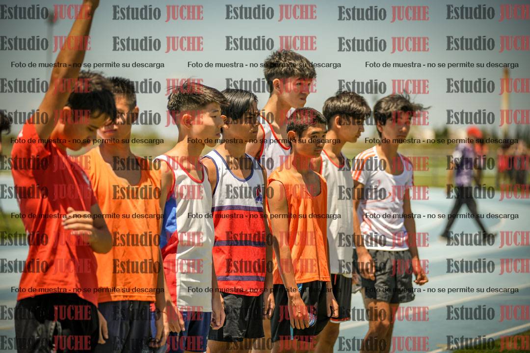Fotos de algunos podios y extras del torneo