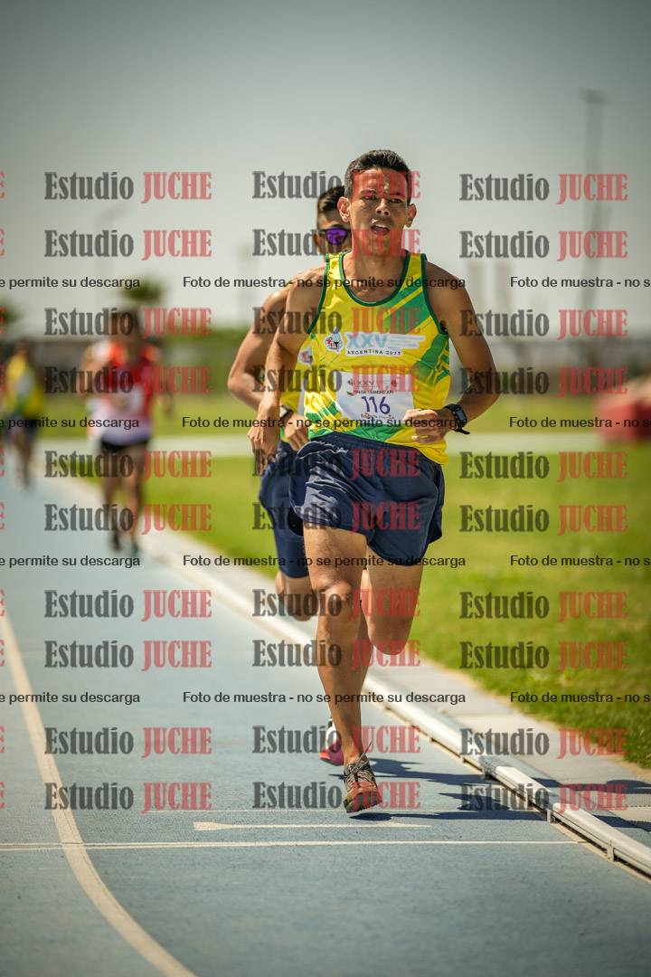 Fotos de los 1500mts de varones LIBRE/MASTER - FINAL