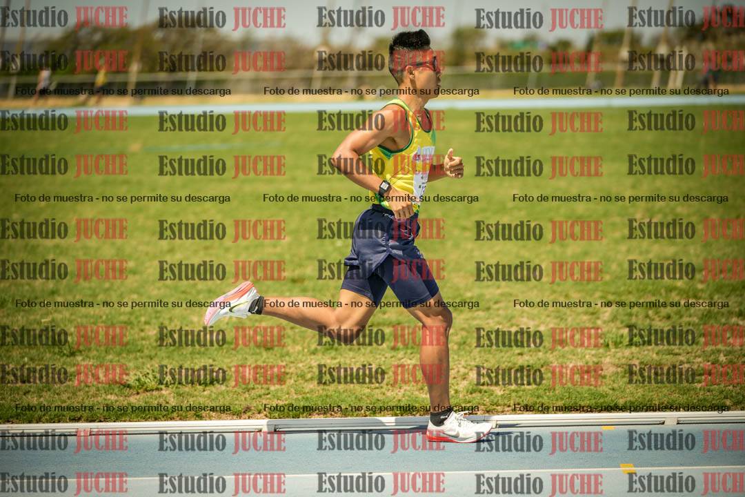 Fotos de los 1500mts de varones LIBRE/MASTER - FINAL