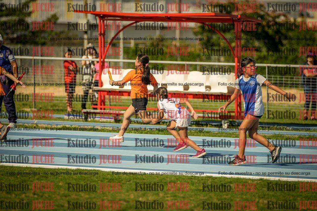 Fotos de las Postas 6x50mts de niñas y niños VERDE (Promocional TAIN) - FINAL