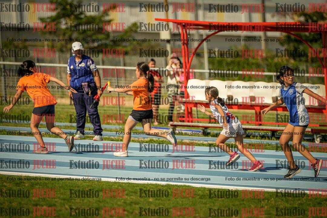 Fotos de las Postas 6x50mts de niñas y niños VERDE (Promocional TAIN) - FINAL