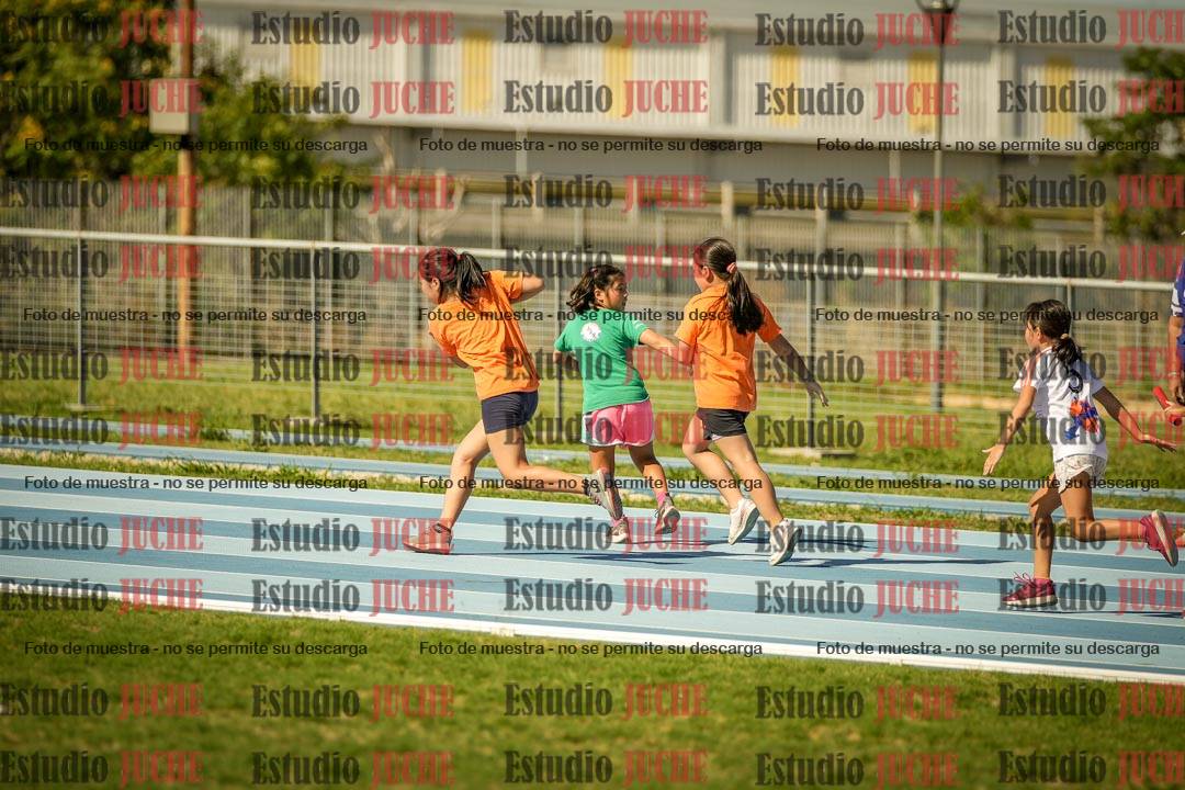 Fotos de las Postas 6x50mts de niñas y niños VERDE (Promocional TAIN) - FINAL