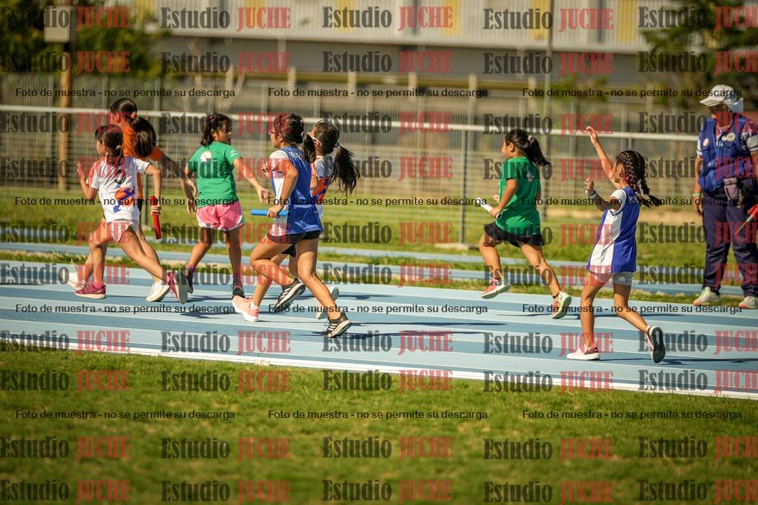 Fotos de las Postas 6x50mts de niñas y niños VERDE (Promocional TAIN) - FINAL
