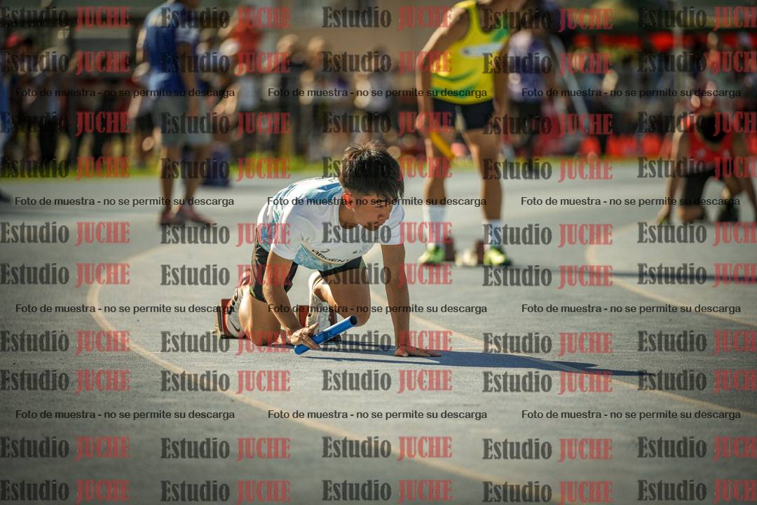 Fotos de las Postas 4x100mts de varones LIBRE - FINAL