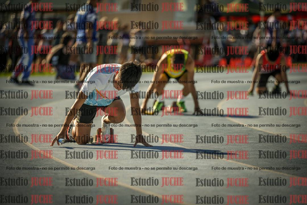 Fotos de las Postas 4x100mts de varones LIBRE - FINAL