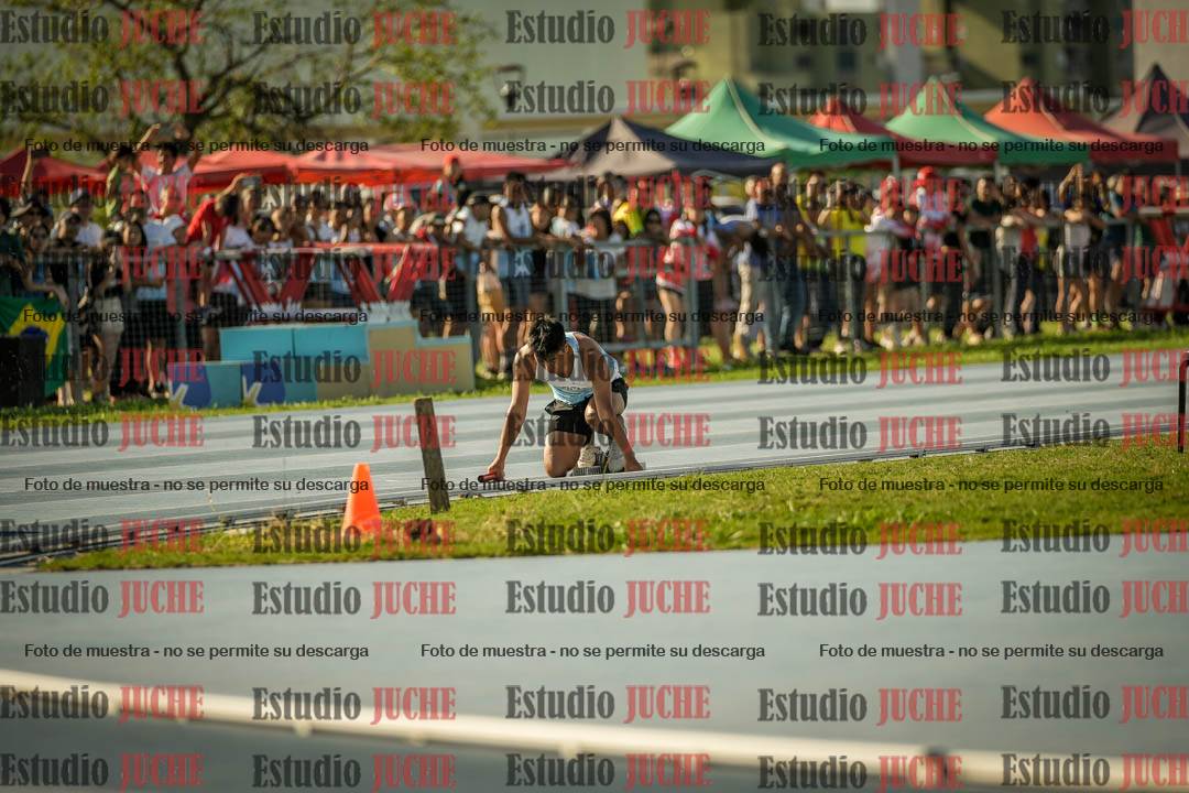Fotos de las Postas 4x100mts de varones LIBRE - FINAL