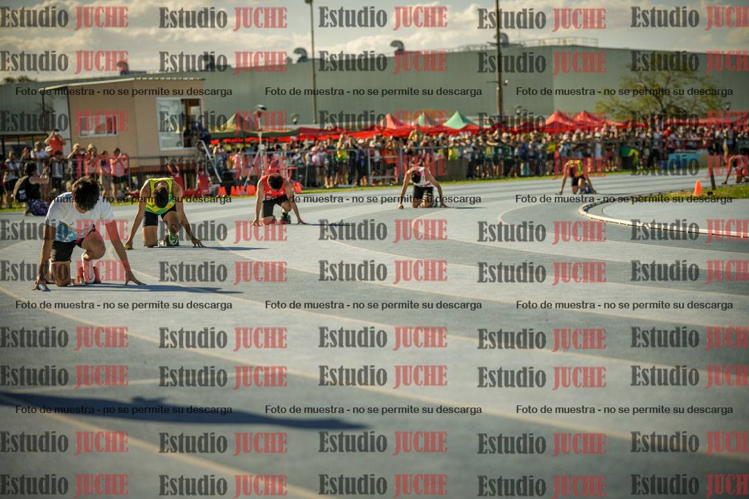 Fotos de las Postas 4x100mts de varones LIBRE - FINAL