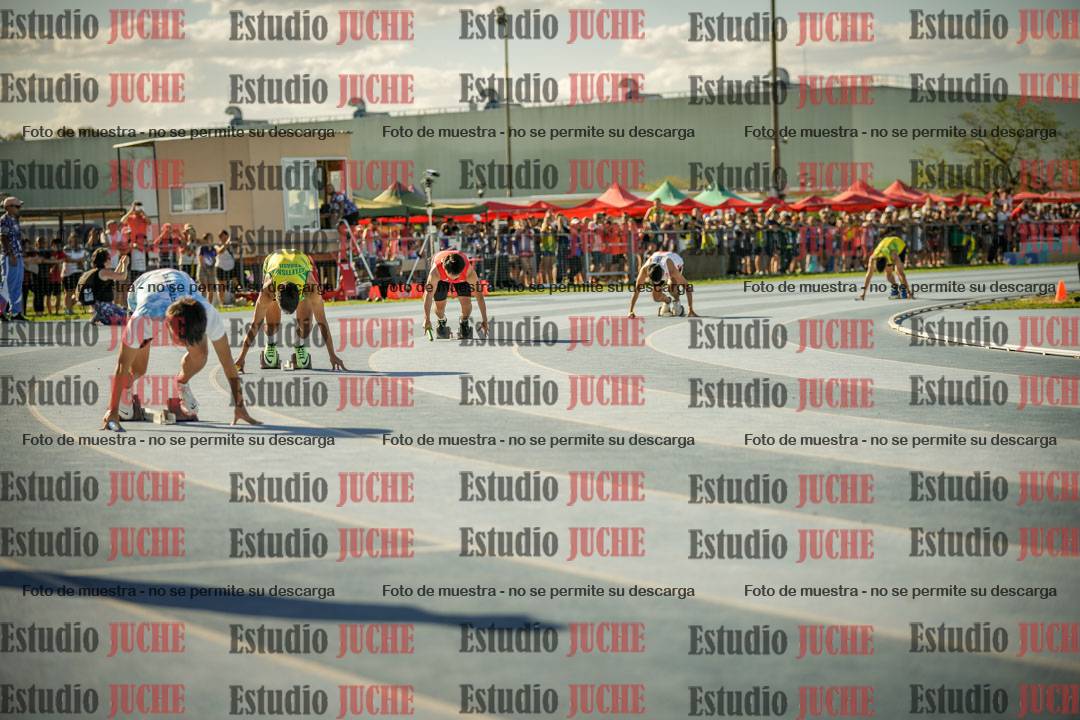 Fotos de las Postas 4x100mts de varones LIBRE - FINAL