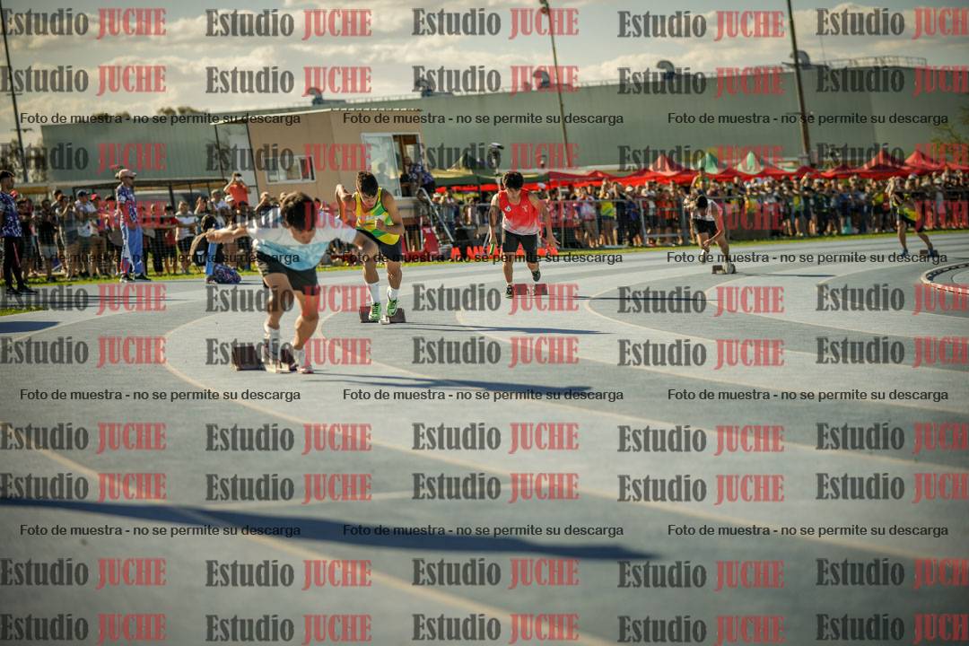 Fotos de las Postas 4x100mts de varones LIBRE - FINAL