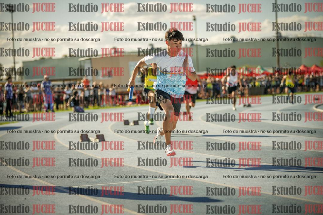Fotos de las Postas 4x100mts de varones LIBRE - FINAL