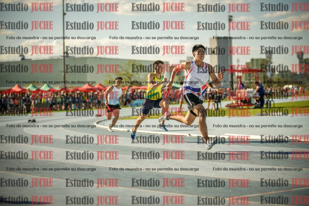 Fotos de las Postas 4x100mts de varones LIBRE - FINAL