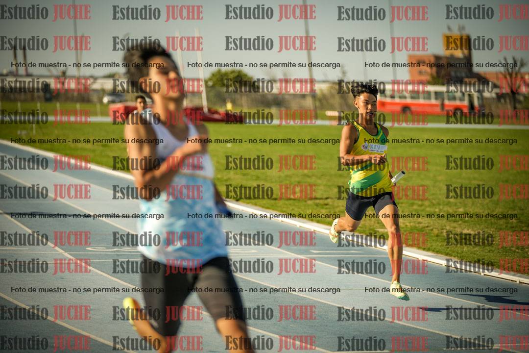 Fotos de las Postas 4x100mts de varones LIBRE - FINAL