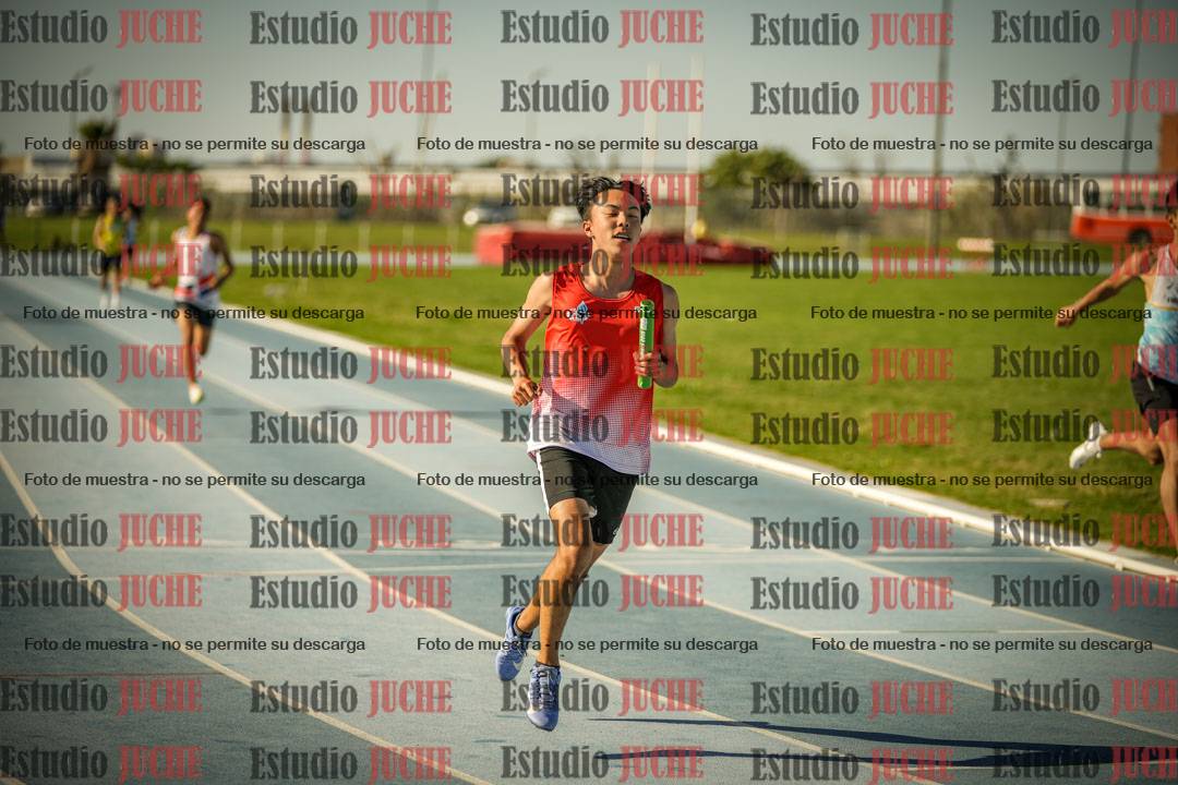 Fotos de las Postas 4x100mts de varones LIBRE - FINAL