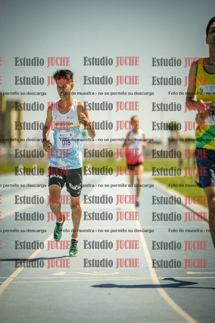 Fotos de los 800mts llanos de varones LIBRE/MASTER - FINAL