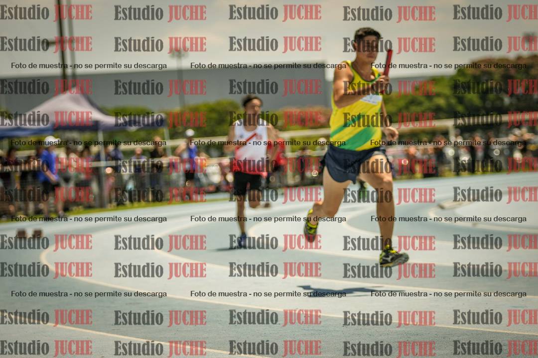 Fotos de las Postas 4x400mts de varones LIBRE - FINAL