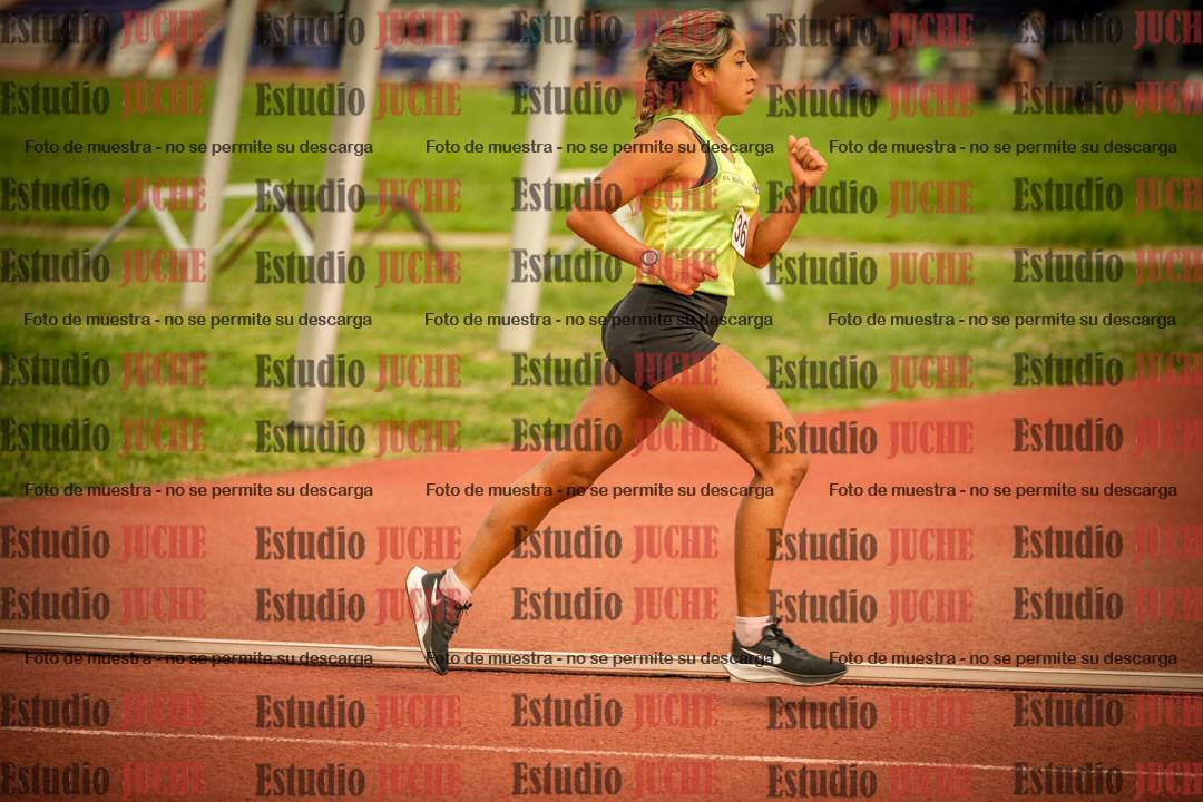 Fotos de los 5000 m de mujeres