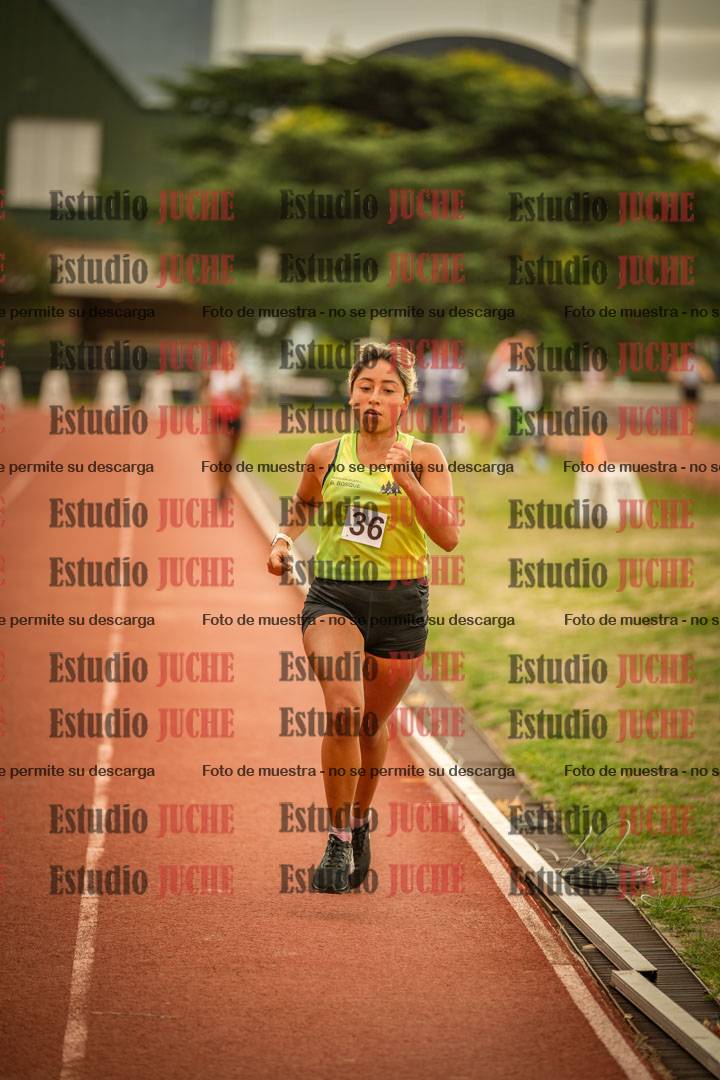 Fotos de los 5000 m de mujeres