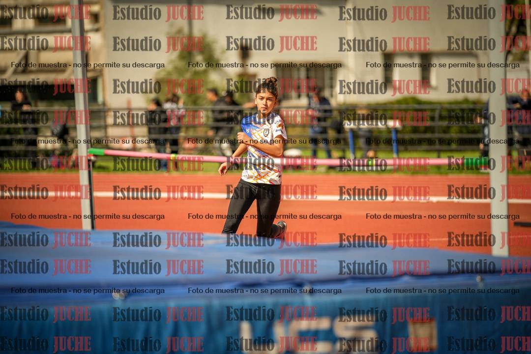 Fotos del salto en alto - incluye todos los grupos