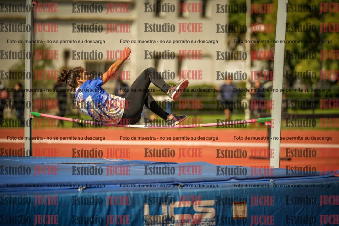 Fotos del salto en alto - incluye todos los grupos