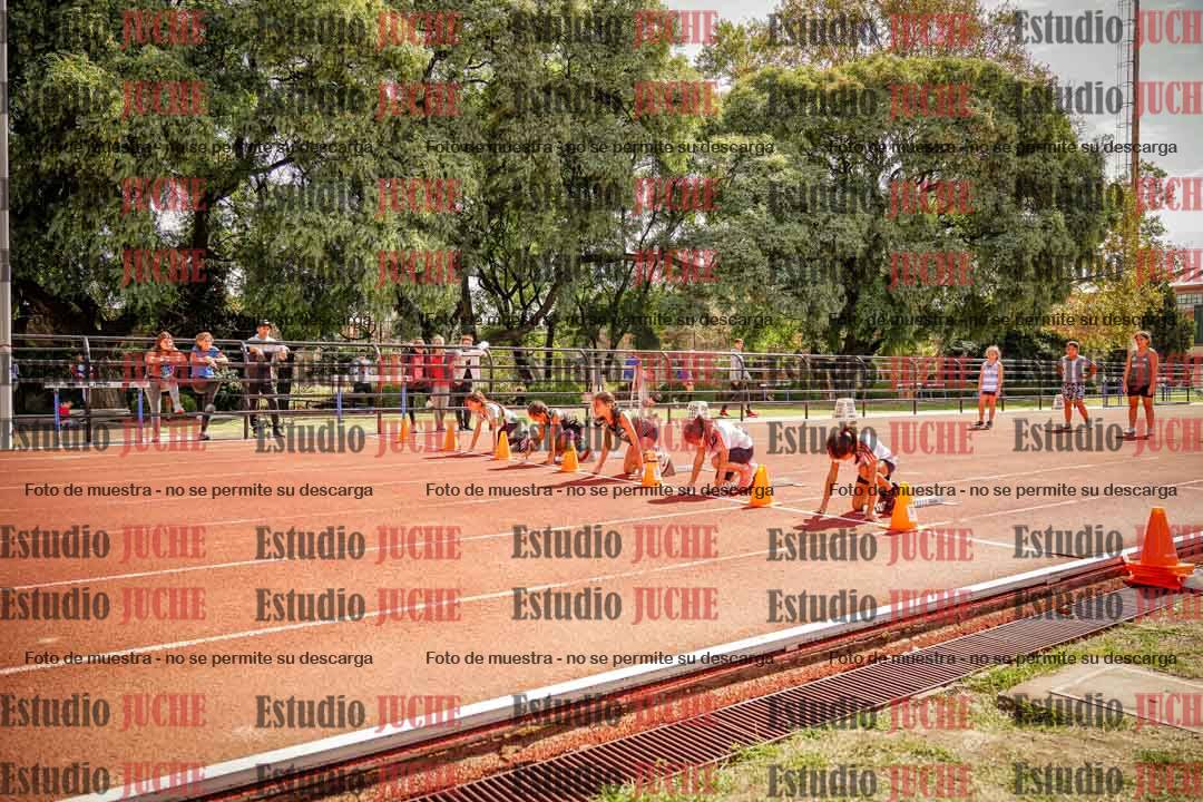 Fotos de los 50 m llanos de mujeres - U12