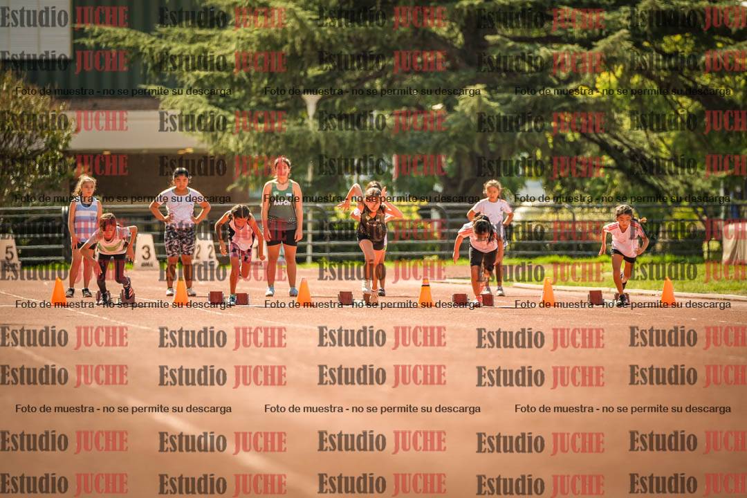 Fotos de los 50 m llanos de mujeres - U12