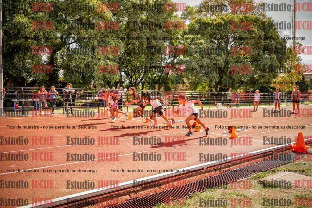 Fotos de los 50 m llanos de mujeres - U12