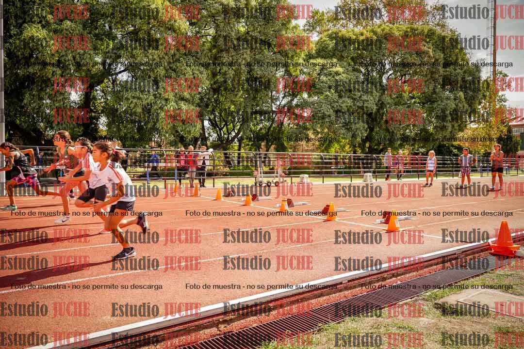 Fotos de los 50 m llanos de mujeres - U12