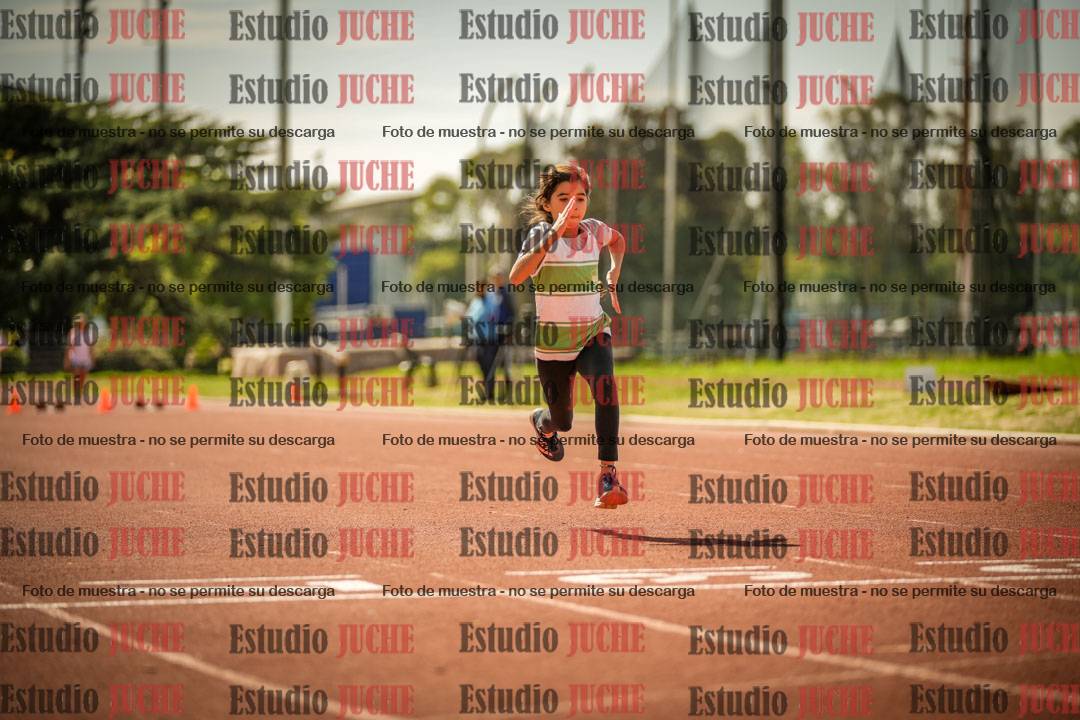 Fotos de los 50 m llanos de mujeres - U12
