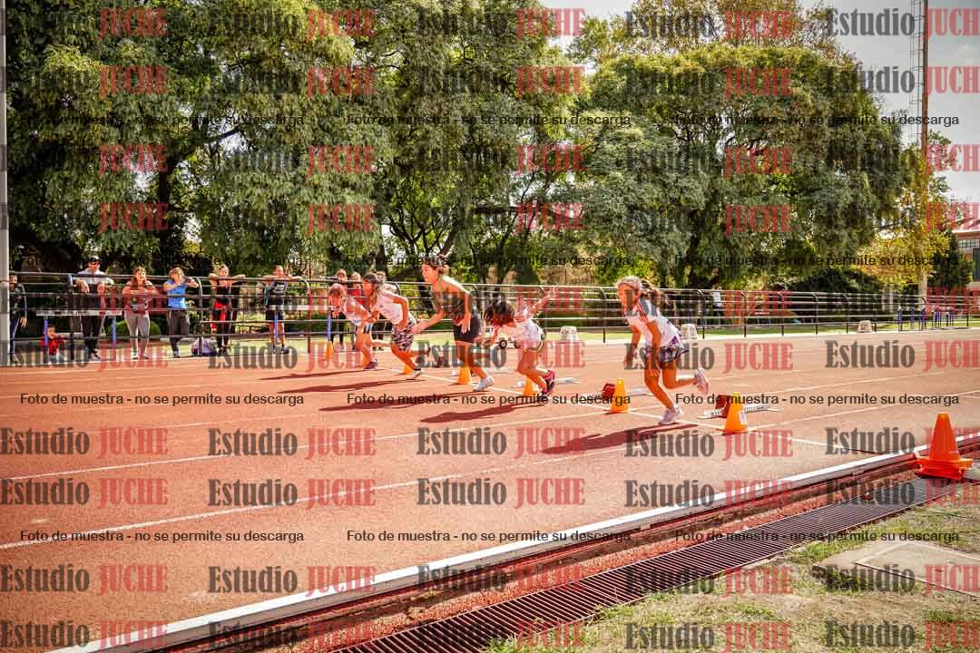 Fotos de los 50 m llanos de mujeres - U12