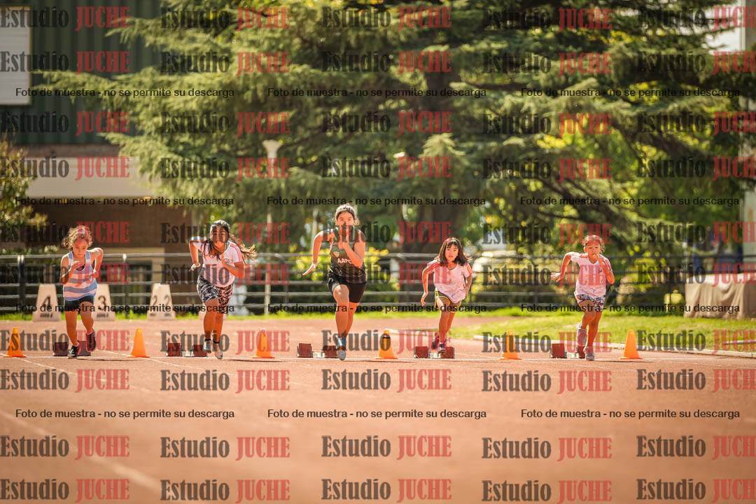 Fotos de los 50 m llanos de mujeres - U12