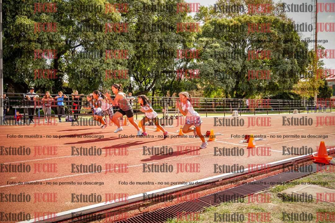 Fotos de los 50 m llanos de mujeres - U12