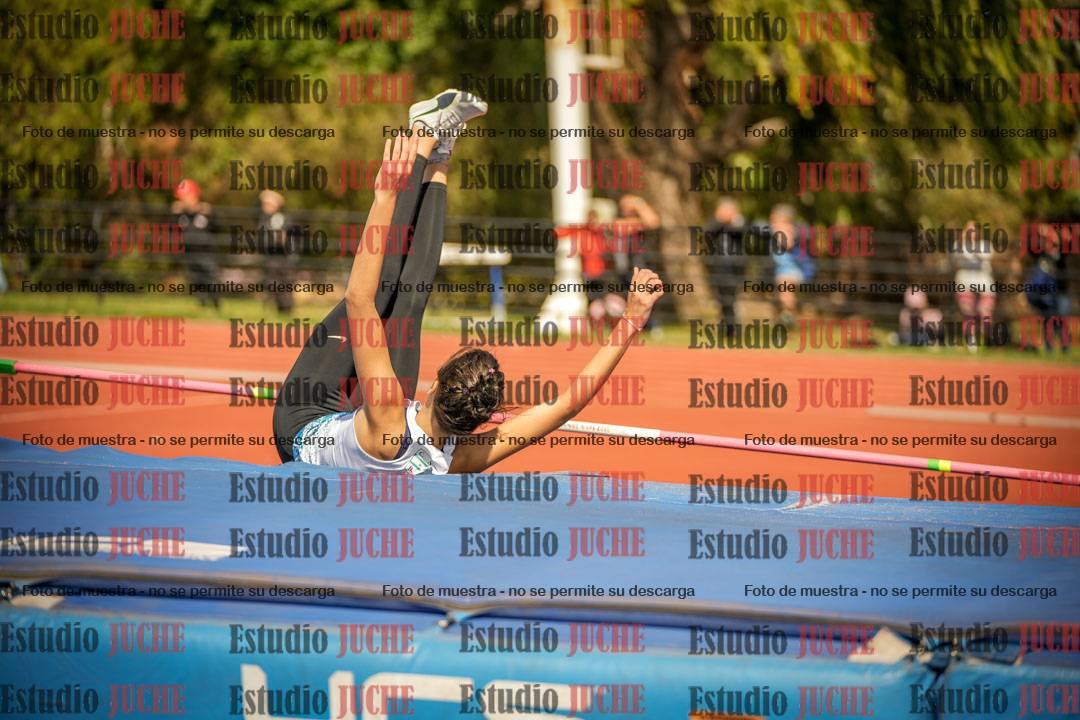 Fotos del salto en alto - incluye todos los grupos