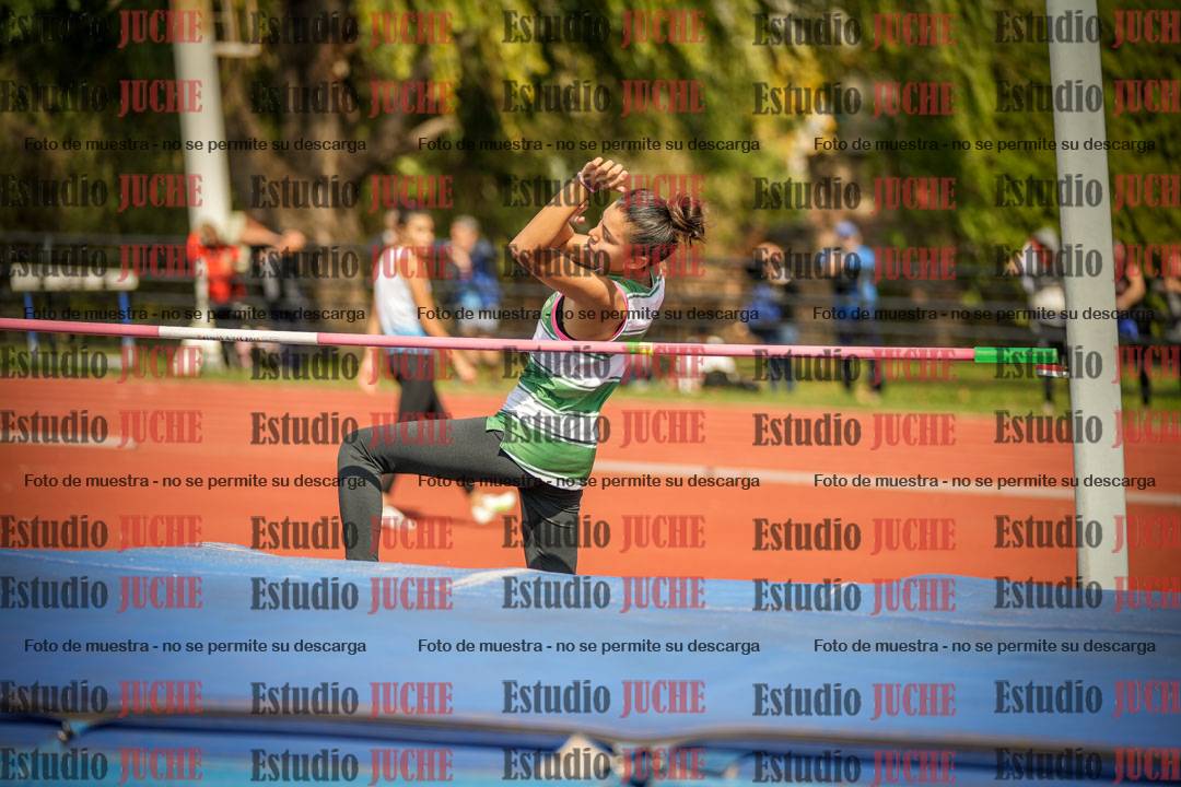 Fotos del salto en alto - incluye todos los grupos