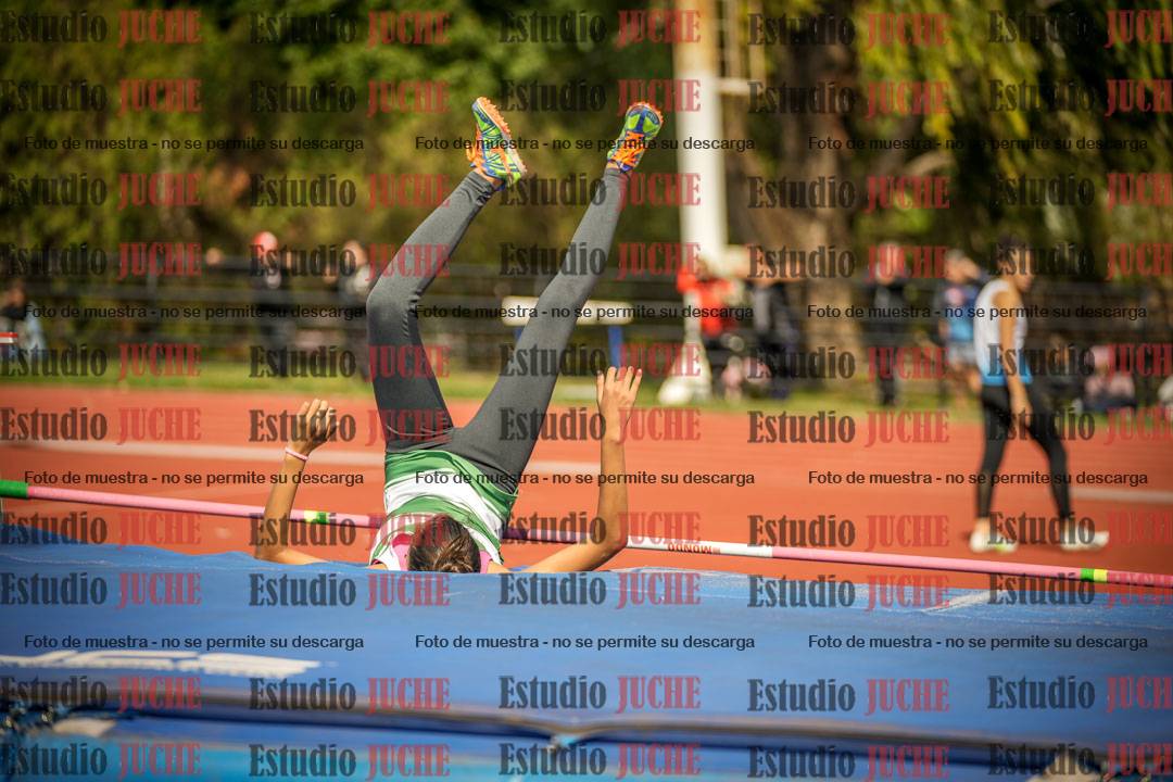 Fotos del salto en alto - incluye todos los grupos