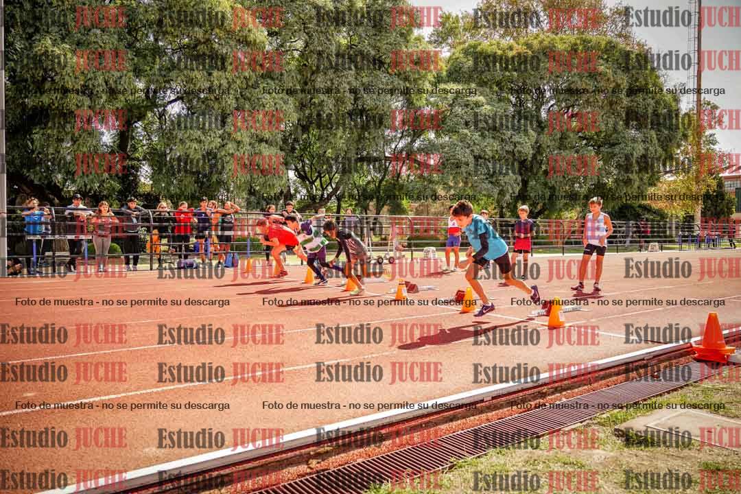 Fotos de los 50 m llanos de varones - U12