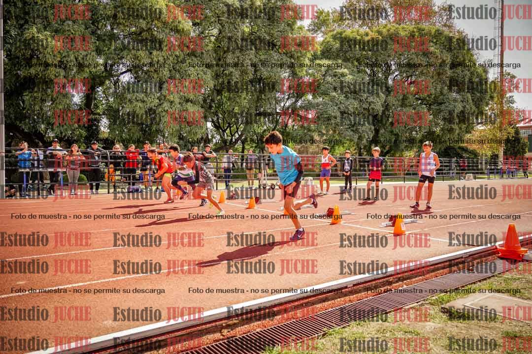 Fotos de los 50 m llanos de varones - U12