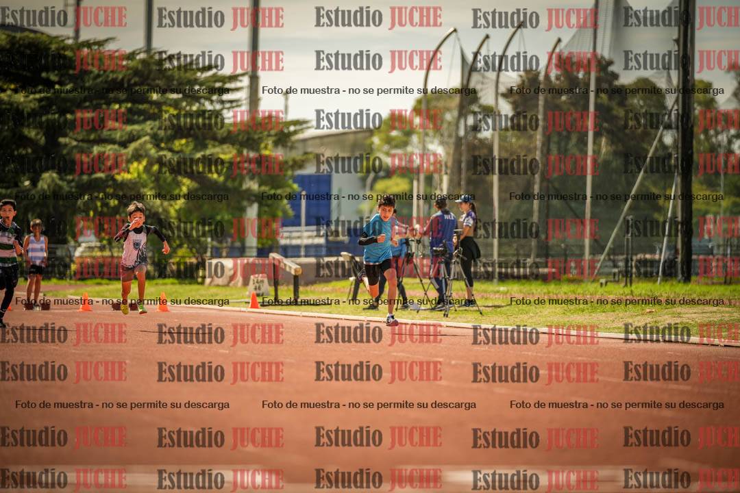 Fotos de los 50 m llanos de varones - U12