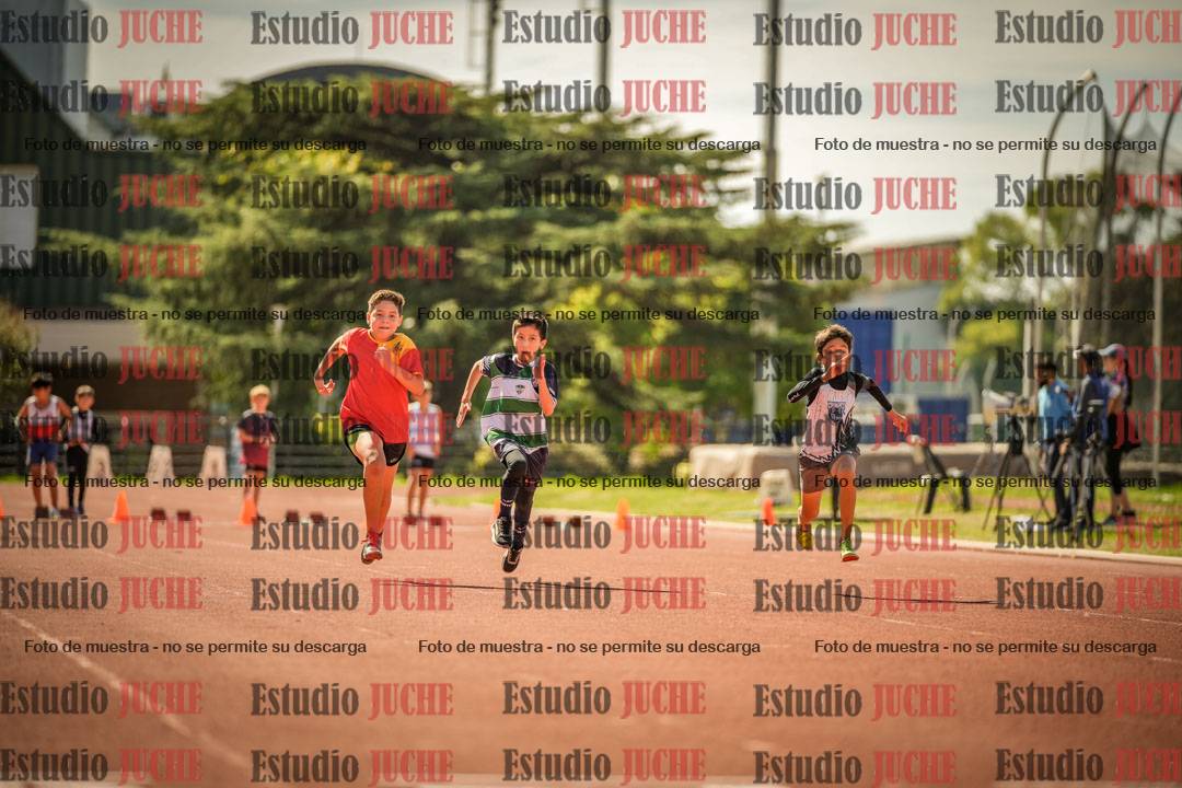Fotos de los 50 m llanos de varones - U12