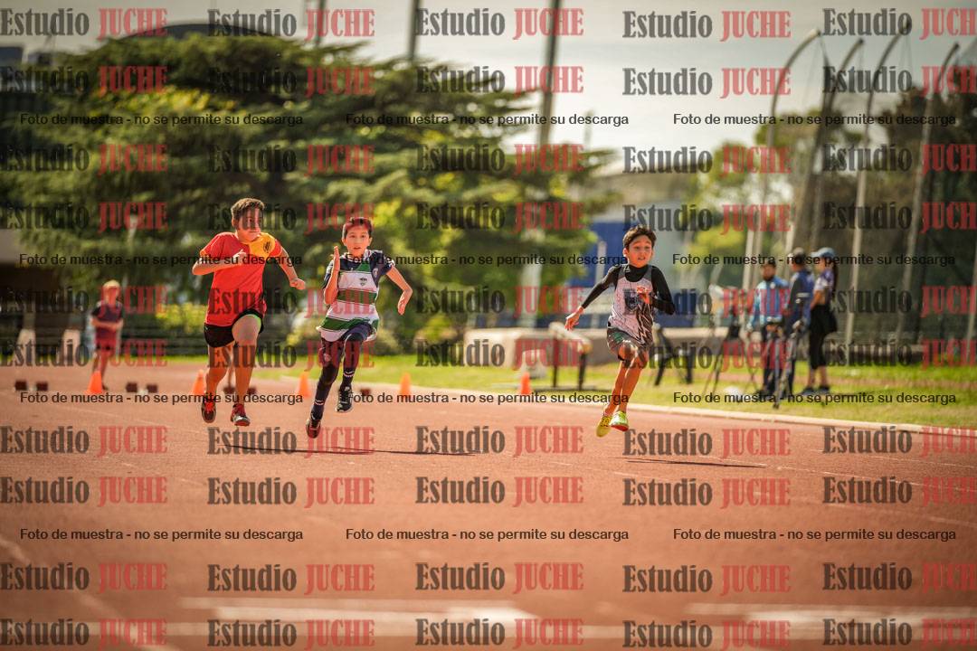 Fotos de los 50 m llanos de varones - U12