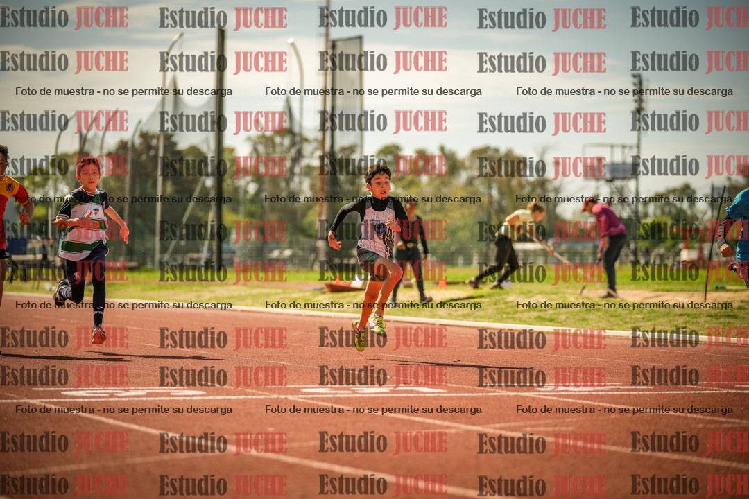 Fotos de los 50 m llanos de varones - U12