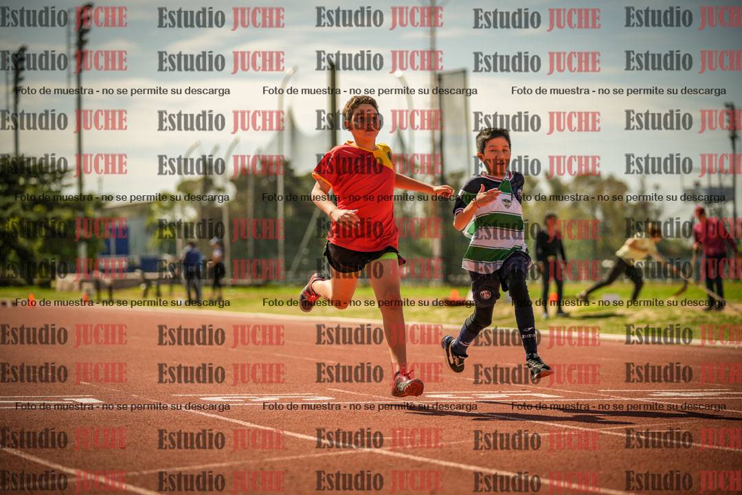 Fotos de los 50 m llanos de varones - U12