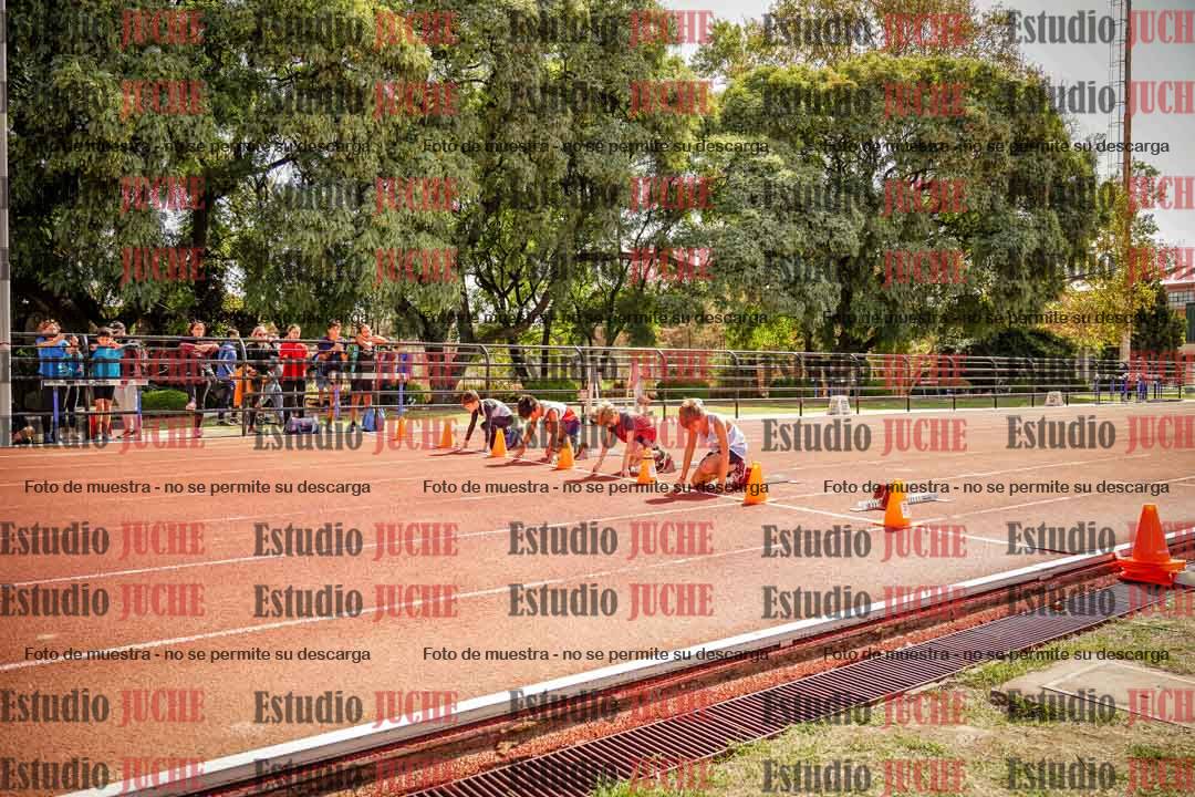 Fotos de los 50 m llanos de varones - U12