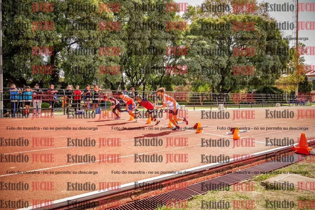 Fotos de los 50 m llanos de varones - U12