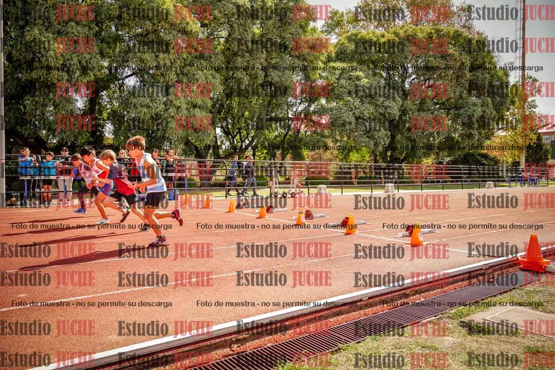 Fotos de los 50 m llanos de varones - U12